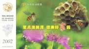 Bee, Honeybee, Bee Nest, Flower ,  Pre-stamped Postcard, Postal Stationery - Abejas