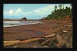 Beach At Trail # 4 At The Kalaloch Area Of Olympic National Park - USA Nationalparks