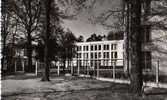 41 LA MOTTE BEUVRON Le Sanatorium Des Pins - Lamotte Beuvron