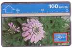 GIBRALTAR CANDYTUFT  ( Gibraltar Mint & Limited Card ) - Flowers , Fleurs , Flower , Fleur , Blumen - Gibilterra