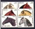ROUMANIE - Yvert 2571/2576** - Chevaux Divers - Unused Stamps