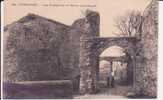 PEROUGES . LES REMPARTS ET PORTE EXTERIEURE - Pérouges