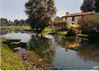 Cathédrale De Verdure - Petite Maison Au Coeur Des Marais - Marais Poitevin - Poitou-Charentes