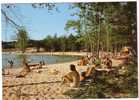 CPSM - BARBOTAN-LES-THERMES - Lac L'Uby - Coul - 1986 ! - - Barbotan