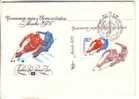 GOOD RUSSIA FDC ( First Day Cover ) 1979 - European Ice Hockey Championship - Moscow - Hockey (Ice)