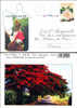 Guadeloupe, 2000, Enveloppe Illustrée, Rose , Arbre, Bougainvilliers, Costume Africaine - Roses