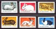 BULGARIA 1986 FAUNA, CONIGLI (LAPINS) DIVERSE RAZZE. SERIE COMPLETA  MNH**. NON DENTELLATA  YT 2993/2998 - Konijnen