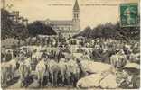 Carte Postale Ancienne Sancoins - Le Champ De Foire, Côté Des Boeufs - Marché, Agriculture, élevage Bovins, Vaches - Sancoins