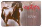 HORSE  ( Russia Gift Card ) ***  Cheval - Pferd - Caballo - Cavallo - Paard - Horses - Chevals * - Horses