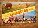 Livingston - Montana  - PU 1960  F   D12945 - Andere & Zonder Classificatie