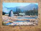 A Northwest Sawmill And Log Pond -Jefferson Portland -Oregon - Cca 1960´s VF    D12996 - Portland