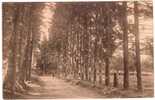 CARLSBOURG   :  ETABLISSEMENT    -     AVENUE  DE  LA  GROTTE - Paliseul