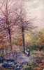 CPA Belle Illustration - Raphael Tuck Oilette N° 7985 - Devon " Blossom Time " Couleur - Tuck, Raphael