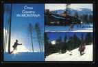 Cross Country Skiing In Montana - Altri & Non Classificati