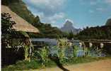 OCEANIE - TAHITI  - Baie De COOK, Vue De L'Hotel Aimeo, MOOREA - Tahiti