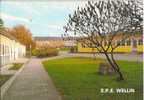 WELLIN  :  ECOLE  PRIMAIRE   DE  L'  ETAT  -   CLASSE  DE  FORET  ET  DE  PLEIN  AIR - Wellin