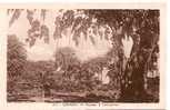 317. CONAKRY . PAYSAGE A CAMAYENNE. - French Guinea