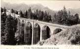 Pont De Chesieres Et Dent De Morcles (7) - Morcles