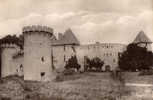 63 / ENVIRONS D AIGUEPERSE / LE CHATEAU DE LA ROCHE A CHAPTUZAT / CPSM 1955 - Aigueperse