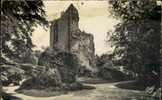 Domfront Orne 61. Ruines De L´Ancien Donjon. - Domfront