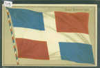 SAN DOMINGO - DRAPEAU - CARTE EN RELIEF - IDEALE POUR PREMIERE PAGE DE COLLECTION  - TB - Dominicaine (République)