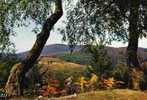 CPSM.LIMOUSIN PITTORESQUE. ENTRE LES HAUTES VALLEES DE LA VEZER ET DE LA CORREZE. LE MASSIF DES MONEDIERES. - Limousin