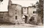 86 LOUDUN  -   Porte Du Martray De L,ancien Chateau - Loudun