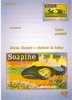 Romania / Postal Stationery - Sonstige & Ohne Zuordnung