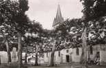 D40 - ST-VINCENT-de-TYROSSE  -  L'Eglise Et Le Monument Aux Morts - Saint Vincent De Tyrosse