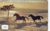 Télécarte CHEVAL (14 Pferd - Horse - Paard - Caballo Phonecard Animal Japon - Horses