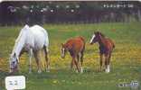 Télécarte CHEVAL (22) Pferd - Horse - Paard - Caballo Phonecard Animal Japon - Cavalli