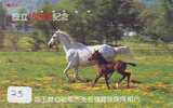 Télécarte CHEVAL (25) Pferd - Horse - Paard - Caballo Phonecard Animal Japon - Chevaux