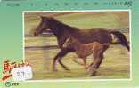 Télécarte CHEVAL (27) Pferd - Horse - Paard - Caballo Phonecard Animal Japon - Caballos