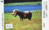 Télécarte CHEVAL (34) Pferd - Horse - Paard - Caballo Phonecard Animal Japon - Cavalli
