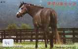 Télécarte CHEVAL (44) Pferd - Horse - Paard - Caballo Phonecard Animal Japon - Caballos