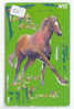Télécarte CHEVAL (50) Pferd - Horse - Paard - Caballo Phonecard Animal Japon - Caballos