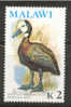 MALAWI 1975 Dendrocygne Veuf Oiseau / Bird  White-faced Whistling-Duck MNH ** - Entenvögel
