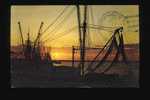 Shrimp Boats Resting At Sunset, After The Days Catch.  Wanchese, North Carolina - Fischerei