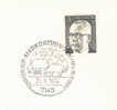 1974 Allemagne Markgroningen  Brebis Mouton  Pecora Sheep - Ferme