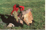 CARTE POSTALE DU TIBET - ENFANT DANS UN PANIER - Sonstige & Ohne Zuordnung