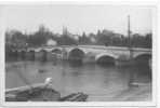 16 ) FL) CHATEAUNEUF SUR CHARENTE, Le  Pont Sur La Charente (style Ancien) CPSM 9x14 Combier édit - Chateauneuf Sur Charente