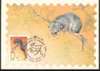1985 Russie  Carte Maximum Rongeur Roditore Rodent - Roedores
