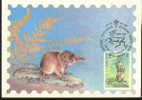 1985 Russie   Carte Maximum Rongeur Roditore Rodent - Roedores