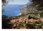 ROQUEBRUNE -  Vue Générale Du Vieux Village  - N° 41 - Roquebrune-Cap-Martin