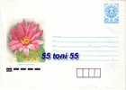 Bulgaria / Bulgarie 1989 Flora CACTUS MAMILARIJA Postal Stationery  (mint ) - Cactusses