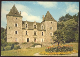 CPM Neuve 19 Environs D'ARGENTAT Le Château Du GIBANEL - Argentat