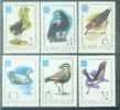 USSR 1982-5181-6 BIRDS, S S S R, 6v, MNH - Storks & Long-legged Wading Birds