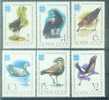 USSR 1982-5181-6 BIRDS, S S S R, 6v, MNH - Seagulls