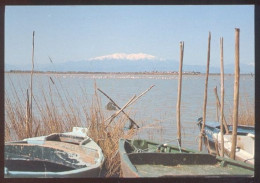 CPM ROUSSILLON L'Etang Et Le Canigou - Languedoc-Roussillon