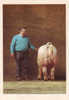 Photo Arthus Bertrand Porc Landrace Français M. Petiot - Varkens